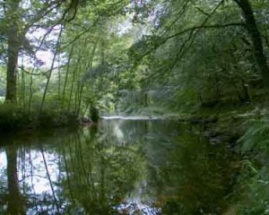 La rivière Ellé, près du Faouët La rivière Ellé, près du Faouët
