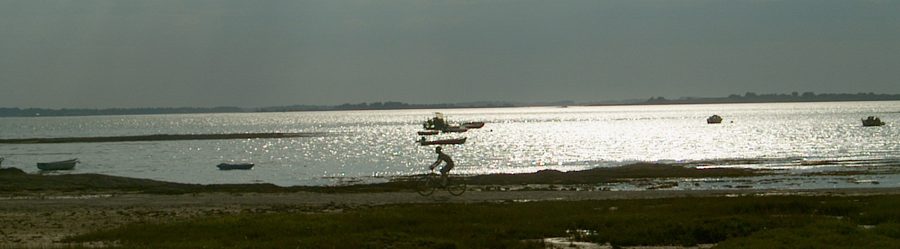 Ty Arthur, Lanigo, Gîte 3 épis en Morbihan