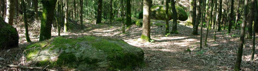 Lanigo, Gîte 3 épis en Morbihan